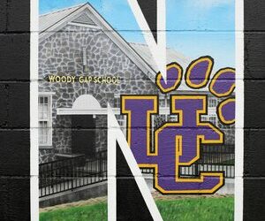 Union County Panthers