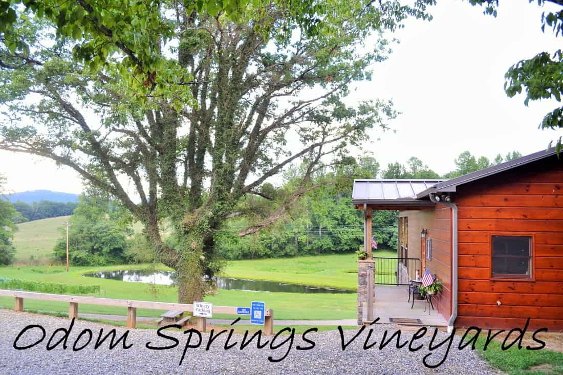 Odom Springs Vineyards Profie Photo Website